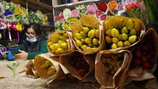 Более 9 тысяч срезов тюльпанов и горшечных растений вывезено из Удмуртии в Казахстан