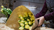 Жители Ижевска потратят на подарки к 8 марта на 800 рублей больше в 2022 году