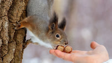 К концу недели в Удмуртии потеплеет до 0..+2°С