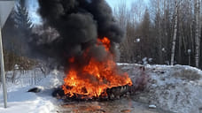 В Удмуртии обнаружили несанкционированную свалку трупов домашней птицы