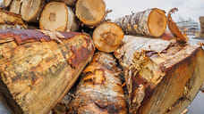 3,8 тысячи кубометров лесоматериалов экспортировали из Удмуртии в Китай