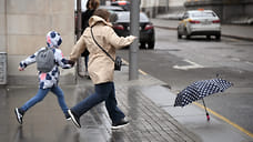 Жителей Удмуртии предупредили об усилении ветра 21 марта