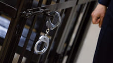 Жителя Ижевска обвиняют в распространении детской порнографии