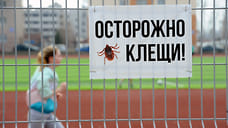 Первую обработку территорий от клещей в Ижевске проведут в мае