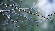 Потепление и дожди ожидаются в Удмуртии в первые дни апреля