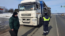 35 нарушений законодательства при перевозке древесины выявили в Удмуртии