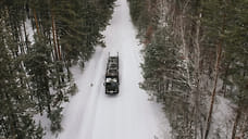 Более 39 тысяч кубометров лесопродукции экспортировали из Удмуртии