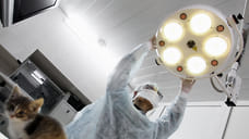 В зоомагазине в Ижевске продавались лекарственные препараты без лицензии