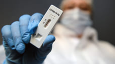 Новую волну коронавируса в Удмуртии ожидают в начале лета