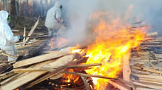 Несанкционированную свалку трупов крупного рогатого скота обнаружили в Удмуртии