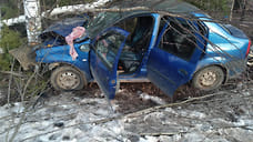 Трое мужчин пострадали в результате наезда автомобиля на дерево в Удмуртии