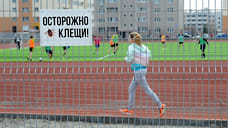 В Удмуртии первый случай укуса клеща за 2022 год зарегистрировали в Можге