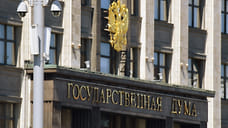 Стали известны доходы депутатов Госдумы России от Удмуртии за 2021 год