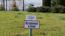 426 жителей Удмуртии пострадало от укусов клещей за неделю