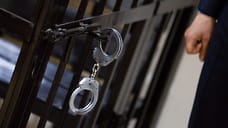 В убийстве жителя Ижевска обвиняют его 44-летнюю сожительницу