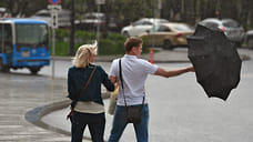 Жителей Удмуртии предупредили об усилении порывов ветра до 15-17 м/с