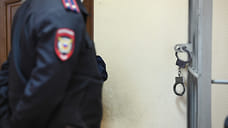 Жительницу Глазова осудили за убийство младшей сестры