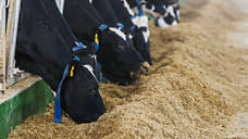 370 тонн комбикормов экспортировали из Удмуртии в Белоруссию и Казахстан