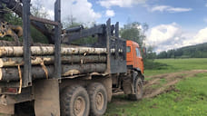 Двух жителей Удмуртии подозревают в хищении древесины на 400 тысяч рублей