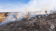 Сухая трава загорелась в Ижевске на улице Союзная