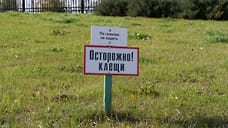148 жителей Удмуртии пострадали от укусов клещей