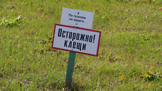 Кладбища в Ижевске обработали от клещей