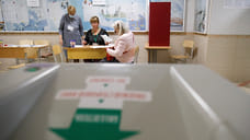 Депутатов избрали в трех районах Удмуртии в рамках дополнительных выборов