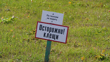 Почти 3,6 тысячи жителей Удмуртии пострадали от укусов клещей