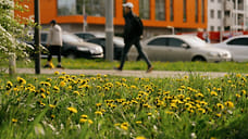 Без осадков и до +27°С ожидается в Удмуртии в выходные