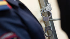 Серийного похитителя видеорегистраторов задержали в Ижевске