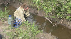 Причиной гибели рыбы на реке Вала в Удмуртии стал залповый сброс отходов