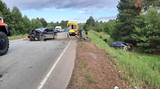 Два ребенка и взрослый получили травмы в вылетевшей в кювет Kia Rio в Удмуртии