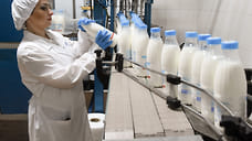Производство молока в Удмуртии выросло на 8,5% в 2023 году