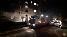 Собаку и кошек спасли пожарные после хлопка в доме на улице 40 лет Победы в Ижевске