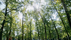 Солнечно и до +23°С ожидается в Удмуртии в выходные