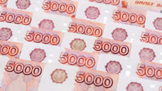 Выдача микрозаймов в Удмуртии выросла на 0,7% в августе