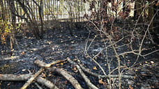 Жительница Удмуртии устроила пожар при попытке сжечь мусор в СНТ «Полет»