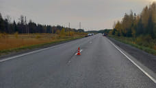 70-летний пассажир LADA погиб после наезда на лося в Удмуртии