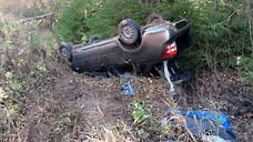 Два человека пострадали в аварии с участием лося в Сюмсинском районе Удмуртии