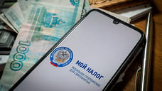 77 тысяч самозанятых зарегистрированы в Удмуртии