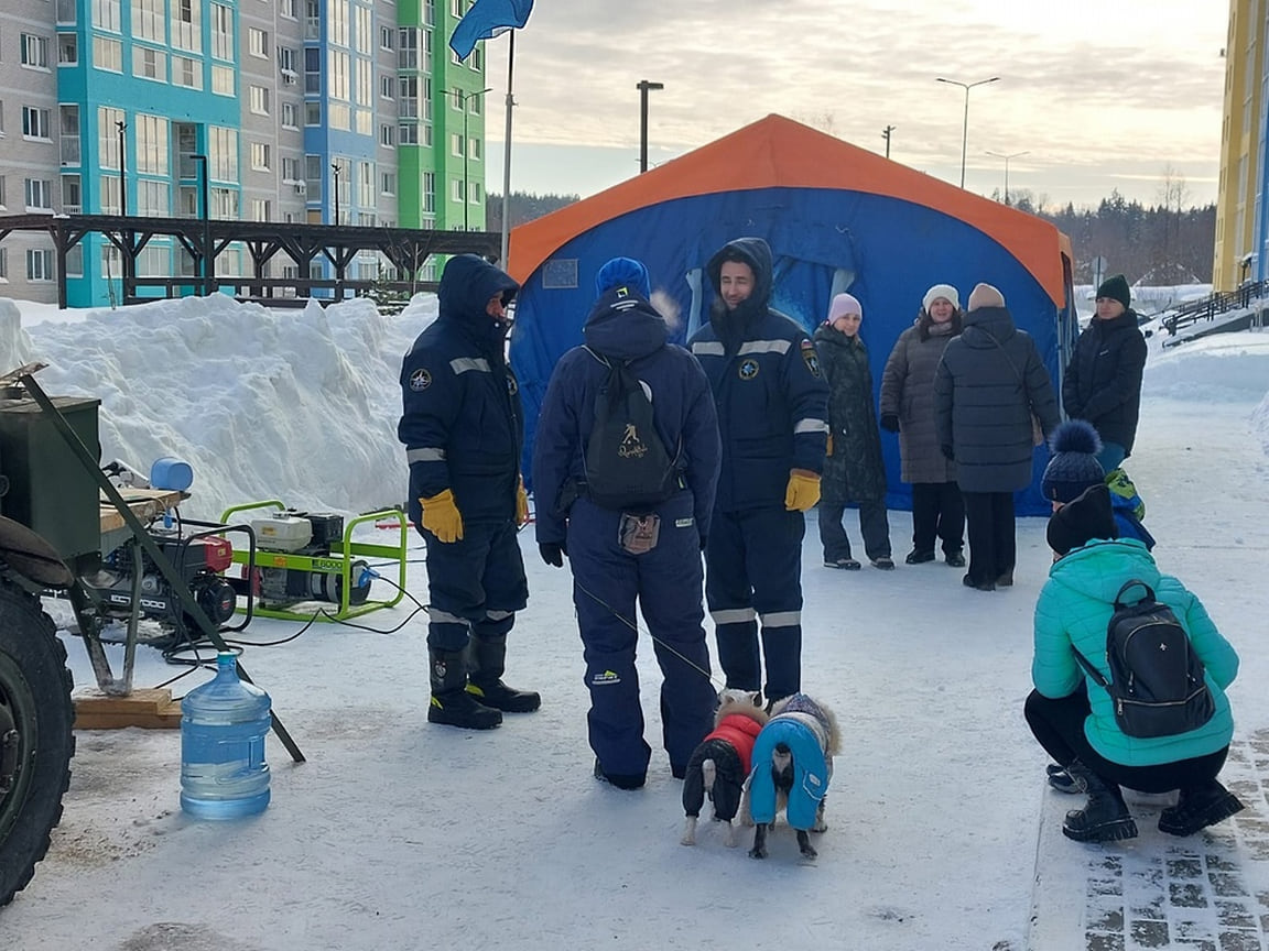 Свет обещают вернуть в микрорайон «Цветочный город» в Ижевске вечером 23  января – Коммерсантъ Ижевск