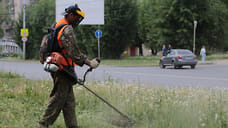В Ижевске начали выкашивать траву вдоль автомагистралей