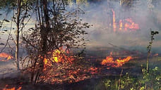 Лесной пожар разгорелся на 400 квадратных метров в деревне Миндерево в Удмуртии
