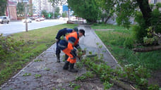Дороги и тротуары Ижевска убирают от поваленных ветром деревьев
