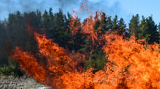 Более 40 лесных и ландшафтных пожаров случилось в Удмуртии