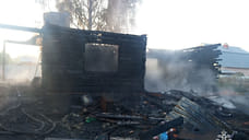Двое жителей Удмуртии погибли при пожаре в СНТ Завьяловского района