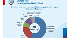 Удмуртия направила в бюджет РФ более 78% налогов в январе-октябре