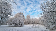 Похолодание до -7°С и небольшой снег прогнозируются в Удмуртии в выходные дни