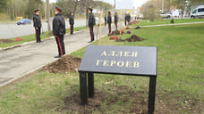 Аллеи памяти погибших участников СВО появятся во всех районах Ижевска