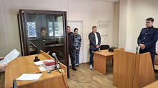 Бывшего адвоката экс-главы Ижевска Нану Парулаву оставили в СИЗО на два месяца